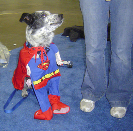 Look, we all KNOW how super I am. Do I really need to wear the costume?